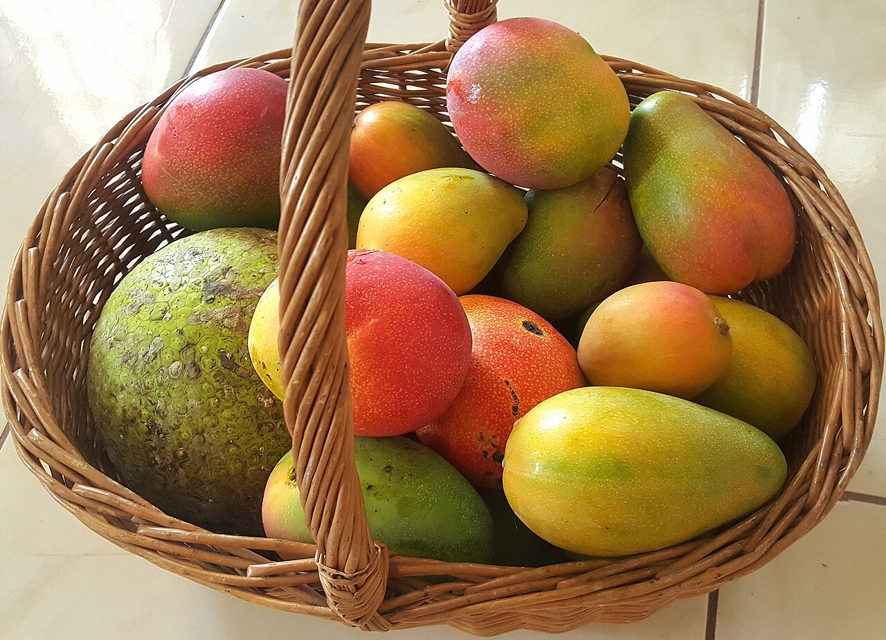Breadfruit and mangoes from Jamaica